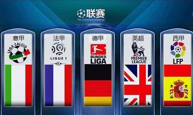 种类与我们